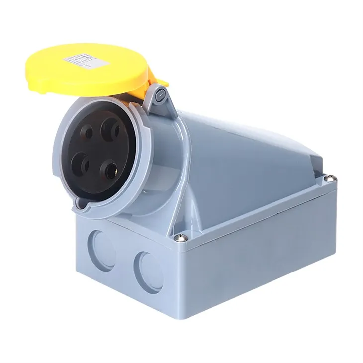 63A Wall Mounted Socket suppliers